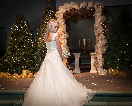 Beautiful Bride /Wedding Photographer /Demotte