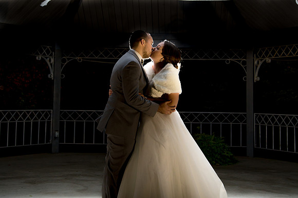 Gazebo Wedding Fun /Wedding Photographer /Croatian Center Banquet Hall