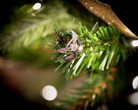 Wedding Rings with a Winter Twist /Wedding Photographer /Merrillville
