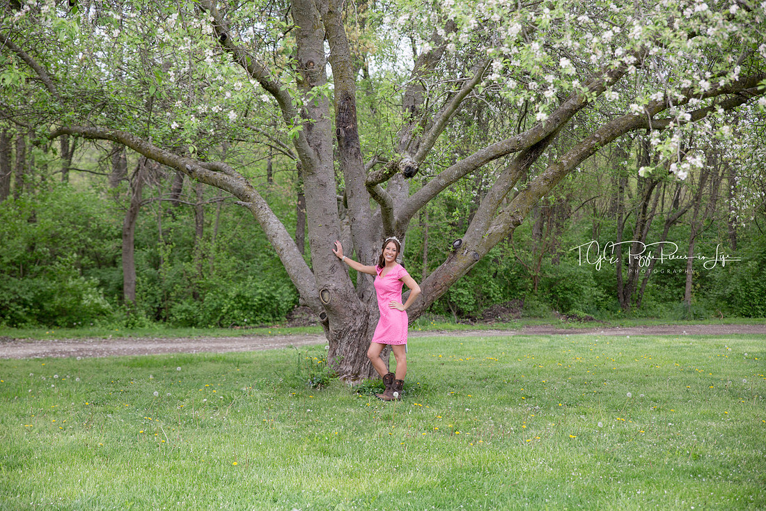 April Flowering Tree/ Buckley Homestead/ Portrait Photographer