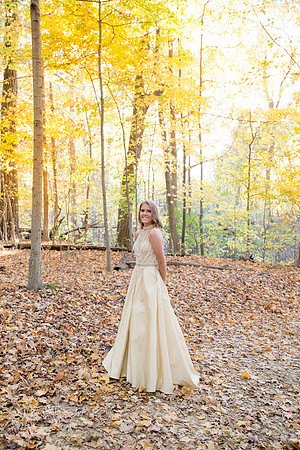 Yellow golden sun on the fall trees/Senior Photographer/ Hobart Indiana