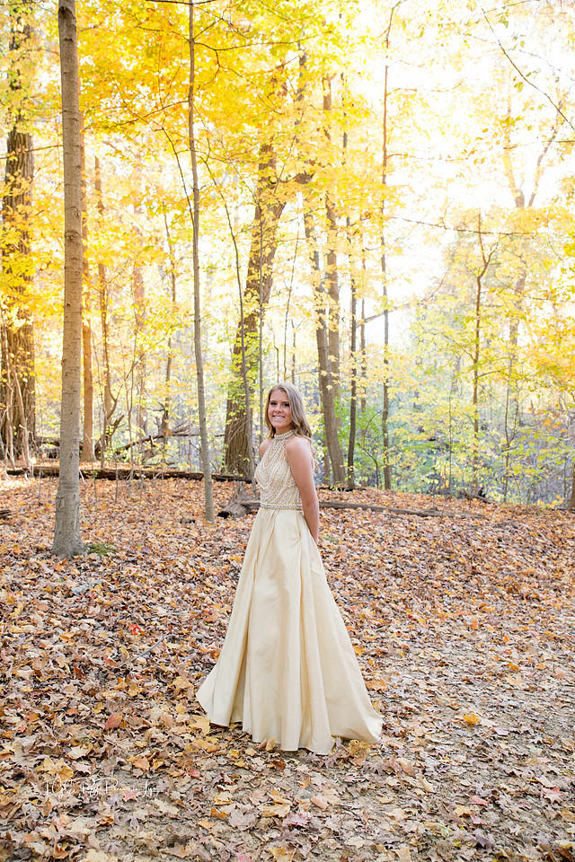 Yellow golden sun on the fall trees/Senior Photographer/ Hobart Indiana