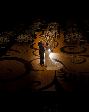 The Dance/ Wedding Photographer/ Laporte, In/ The Allure
