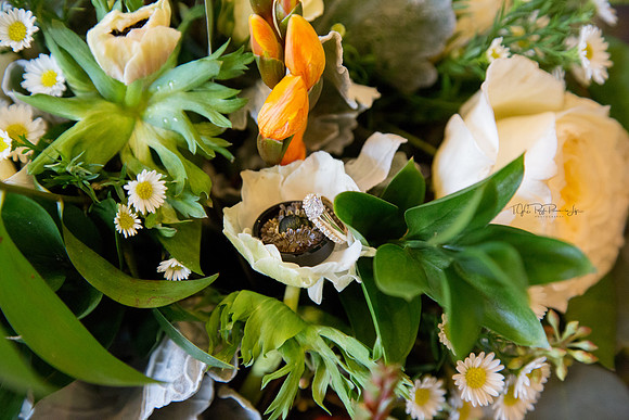 The Brides Favorite Flowers/ Wedding Photographer/ Laporte, In/ The Allure