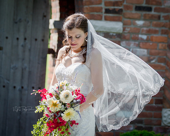 Blown Away/ Wedding Photographer/ Demotte