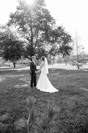 Holding Hands in the Park/ Wedding Photographers/ Rensselaer Park