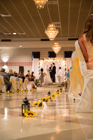 Sunflowers Galore/ Wedding Photographers/ Crown Point, Indiana