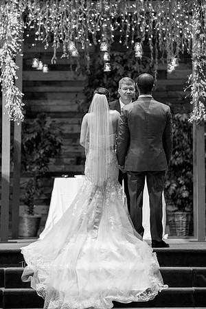 Magical Wedding /Wedding Photographers /Demotte, Indiana