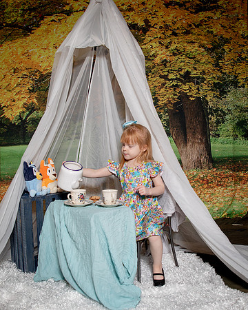 Tea Party with Friends/ Fall Backdrop/ Birthday Pictures/ Lake Village, Indiana/ Northwest Indiana Photographer