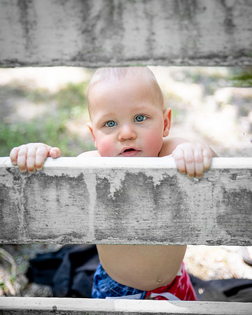 Peak-a-Boo Fence/ Birthday Session/ One Year Old/ Buckley Homestead, Lowell, Indiana/ Northwest Indiana Photographer