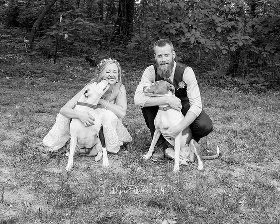 Dog kisses for the Mr. & Mrs./ Northwest Indiana wedding Photographers/ Linton, Indiana