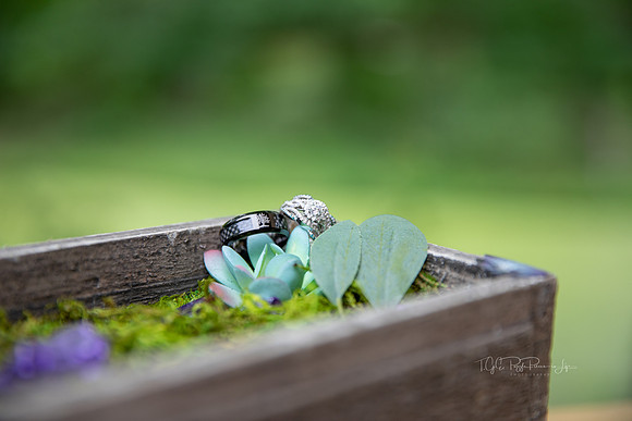 Ring Bearers Wedding Box/ Northwest Indiana Wedding Photographers/ Linton, Indiana