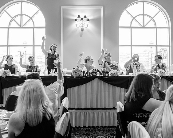 Cheers/ Tuscany Falls, Mokina, Ill/ Wedding Photographer