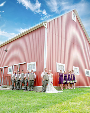 Farmer's Wedding/ Beecher, Ill/ Wedding Photographer