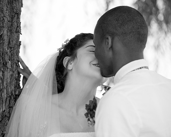 Perfection/ Wedding Photographer/ Merrillville