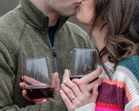 I Toast to Love you For my Whole Life/ Rogers Lakewood Park, Valparaiso/ Engagement